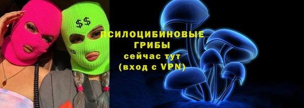 ешки Алзамай