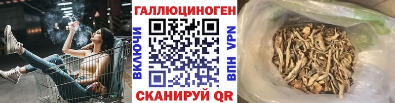 Псилоцибиновые грибы мицелий  Себеж 